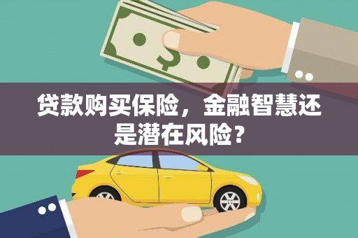 溧阳贷款购买保险，金融智慧还是潜在风险？
