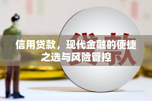 溧阳信用贷款，现代金融的便捷之选与风险管控