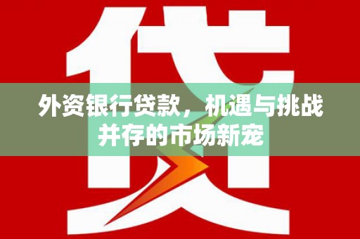 溧阳外资银行贷款，机遇与挑战并存的市场新宠