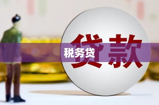 溧阳税务贷