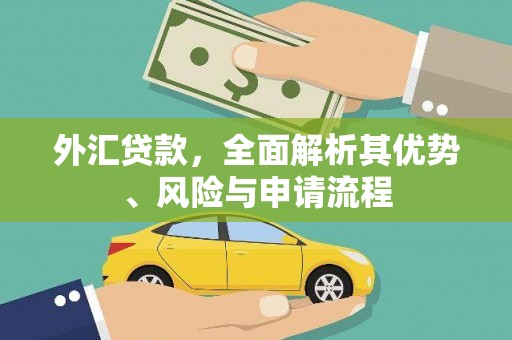 溧阳外汇贷款，全面解析其优势、风险与申请流程