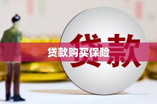 溧阳贷款购买保险