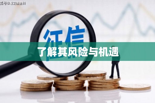 溧阳了解其风险与机遇