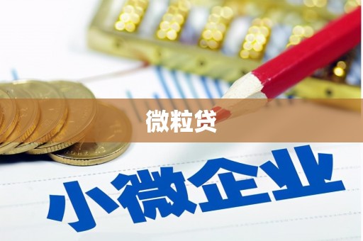 溧阳微粒贷