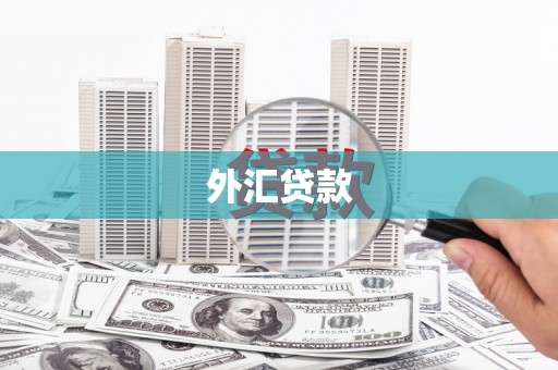 溧阳外汇贷款