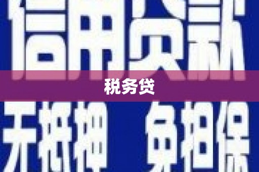 溧阳税务贷