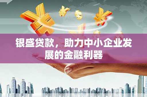 溧阳银盛贷款，助力中小企业发展的金融利器