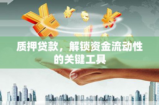 溧阳质押贷款，解锁资金流动性的关键工具