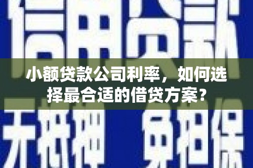 溧阳小额贷款公司利率，如何选择最合适的借贷方案？