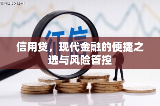 溧阳信用贷，现代金融的便捷之选与风险管控