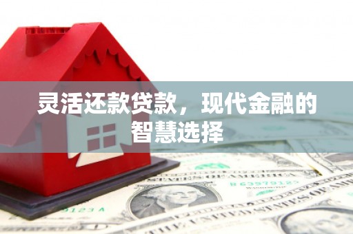 溧阳灵活还款贷款，现代金融的智慧选择