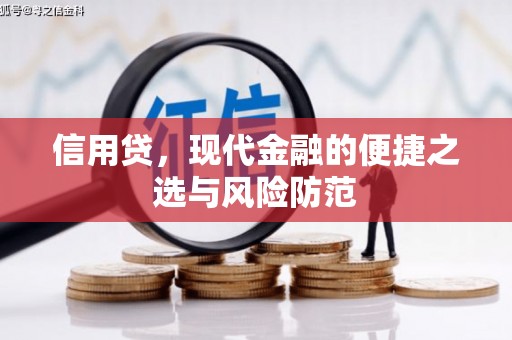 溧阳信用贷，现代金融的便捷之选与风险防范
