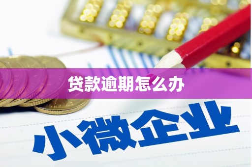 溧阳贷款逾期怎么办