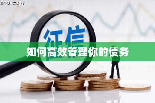 溧阳如何高效管理你的债务