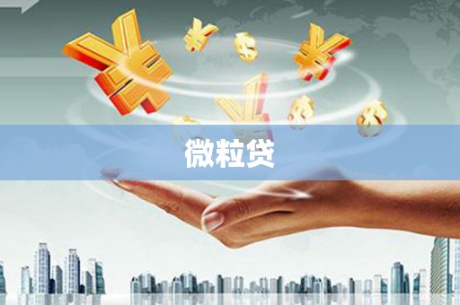 溧阳微粒贷