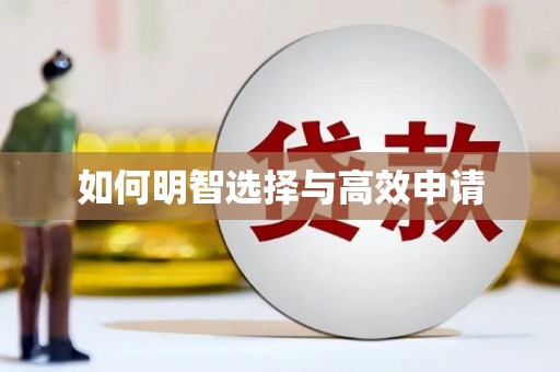 溧阳如何明智选择与高效申请