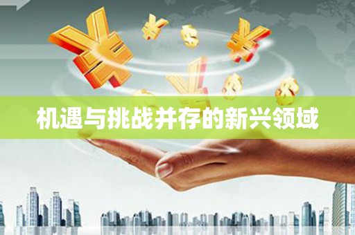 溧阳机遇与挑战并存的新兴领域