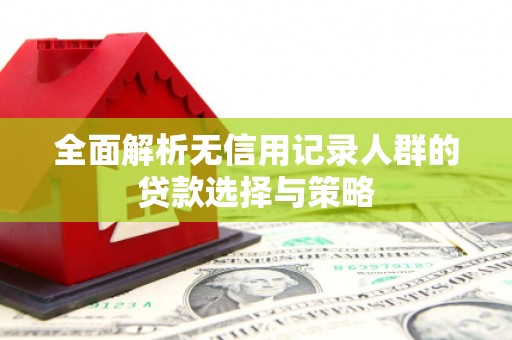 溧阳全面解析无信用记录人群的贷款选择与策略