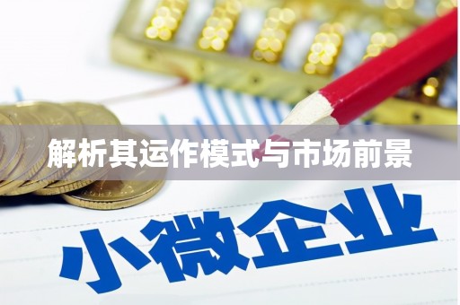 溧阳解析其运作模式与市场前景