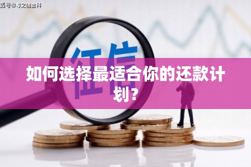 溧阳如何选择最适合你的还款计划？