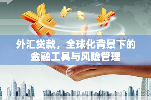 溧阳外汇贷款，全球化背景下的金融工具与风险管理