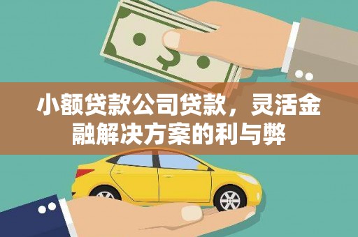 溧阳小额贷款公司贷款，灵活金融解决方案的利与弊