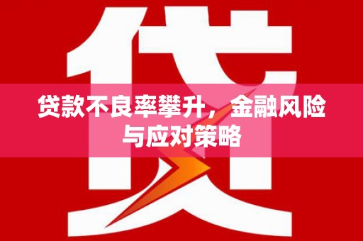 溧阳贷款不良率攀升，金融风险与应对策略