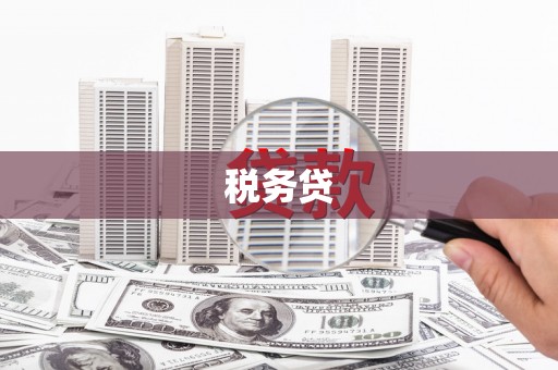 溧阳税务贷